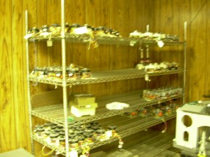 metro racks and Lenses